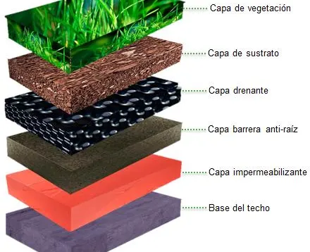 Diagrama de las capas de un techo verde: vegetación, sustrato, drenante, barrera anti-raíz, impermeabilizante y base del techo