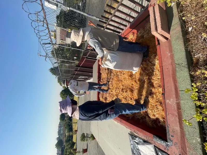 Equipo CIIEMAD durante trabajos de mantenimiento del techo verde