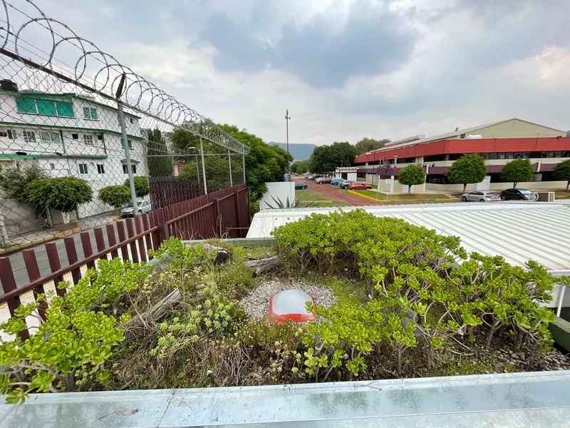 Panorámica del techo verde del CIIEMAD con contexto urbano de Zacatenco