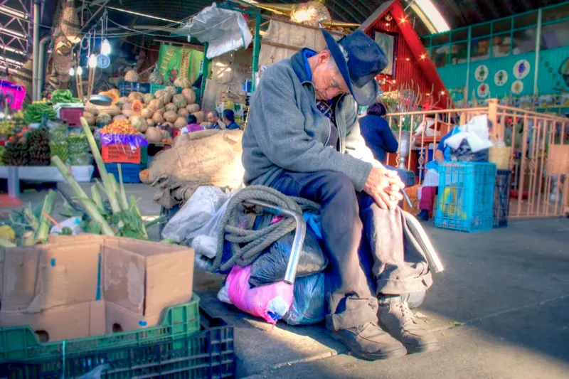 Techo verde: Mercado de Jamaica